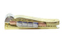 Clip Clip Vogue Vintage : Saphirs sertis en or tricolore 58 Facettes 24046-0110