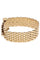 Bracelet BRACELET ANCIEN CEINTURE 58 Facettes 065741