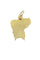Pendentif PENDENTIF GUYANE AVEC PÉPITE 58 Facettes 040391