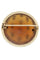 Broche BROCHE ANCIENNE AMBRE FLEURS DE LYS 58 Facettes 050021
