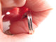 Bague 61 bague coeur sertie de 65 diamants 1.62ct & 1 rubis 61 en or blanc 58 Facettes 258508
