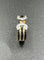 Bague 53 CARTIER. Collection Double C, bague 3 ors et diamants 58 Facettes