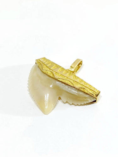 Pendentif Pendentif Or jaune dent de requin 58 Facettes