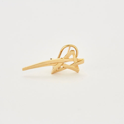 Boucles d'oreilles TIFFANY & CO – PALOMA PICASSO – Boucles d’oreilles Etoile 58 Facettes