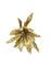 Boucles d'oreilles Chaumet. Demi-parure 1980 en or jaune 18K 58 Facettes