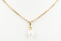 Collier Collier et pendentif perle en or jaune 58 Facettes 21PERLE-62