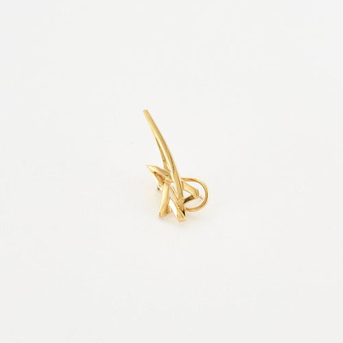 Boucles d'oreilles TIFFANY & CO – PALOMA PICASSO – Boucles d’oreilles Etoile 58 Facettes