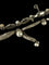 Collier Collier En Platine Et Perles Fines 58 Facettes 1026436