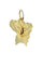 Pendentif PENDENTIF GUYANE AVEC PÉPITE 58 Facettes 040391
