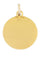 Pendentif PENDENTIF SIGNE LION 58 Facettes 058251