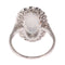 Bague 55 Bague en platine, diamant & pierre de lune 58 Facettes 19312-0202