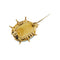 Broche Broche coccinelle émaillée 58 Facettes 28597