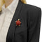 Broche Broche Boucheron, "Tortue", or jaune, émail, rubis. 58 Facettes 33291