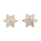 Boucles d'oreilles Boucles d'oreilles Puces Or jaune diamant 58 Facettes 2394626CN