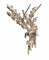 Broche Broche simple ou double, platine, or et diamants 58 Facettes
