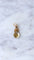 Pendentif Médaille militaire Ordonnance en or et diamants 58 Facettes