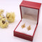 Boucles d'oreilles Dormeuse en or jaune 58 Facettes