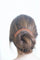 Accessoire Peigne à cheveux, diadème ancien, en corne et corail, sur argent vermeillé 58 Facettes