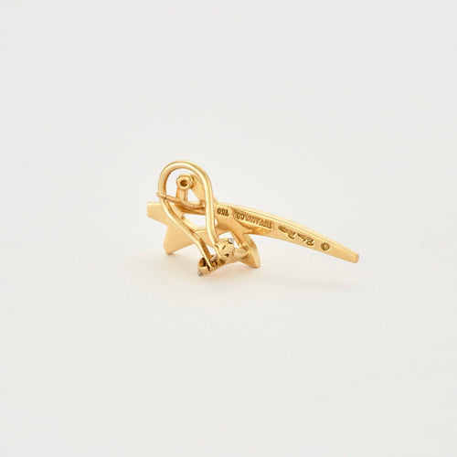 Boucles d'oreilles TIFFANY & CO – PALOMA PICASSO – Boucles d’oreilles Etoile 58 Facettes
