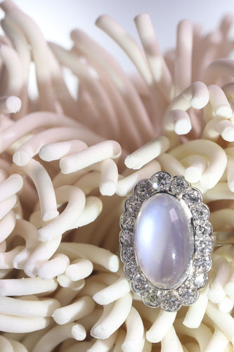 Bague 55 Bague en platine, diamant & pierre de lune 58 Facettes 19312-0202