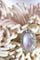 Bague 55 Bague en platine, diamant & pierre de lune 58 Facettes 19312-0202