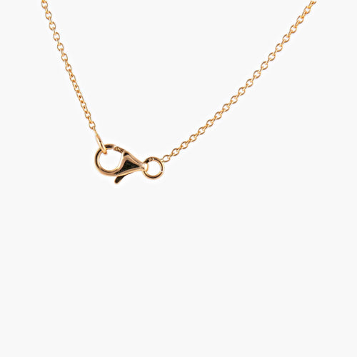 Collier Collier or jaune, diamants bruns et blancs 58 Facettes P1L14