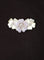Broche Broche Fleurs 58 Facettes 481