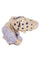 Bague 55 BAGUE PANTHÈRE SAPHIRS ET DIAMANTS 58 Facettes 079061